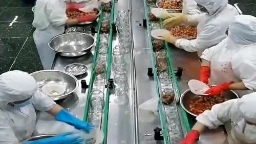 罐頭水果 健康與否，解碼食品廠的“魔法”加工過(guò)程